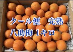 クール便　八助梅　5キロ 青森県産農薬不使用八助梅5キロ送料無料 果物