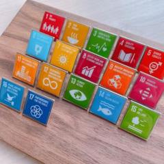 【数量限定】17点フルセット　SDGs スクエアピンバッジ 【国連本部入手品】 enjoy-shopping_10016-7