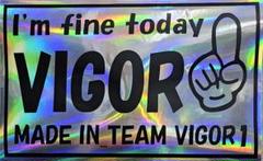VIGOR1. バッグ、ステッカーセット 2025年最新】vigor1ステッカーの人気アイテム - メルカリ