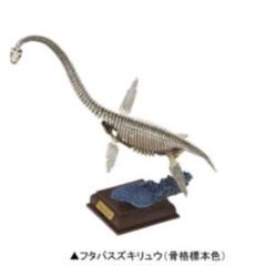 ネイチャーテクニカラー古生物　フタバスズキリュウ（骨格標本色）