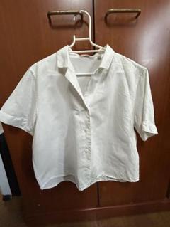 ⭐︎美品⭐︎ホワイト 半袖 ボタンシャツ　UNIQLO ユニクロ