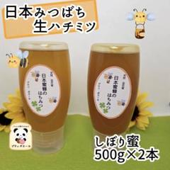 ◇ 日本蜜蜂 蜂蜜 ◇ 味比べ 1点限り にほんみつばち 生はちみつ