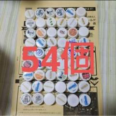 ☆ペットボトルキャップ(白54個)