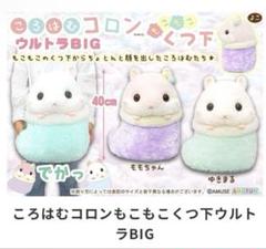 2025年最新】ころはむコロン bigの人気アイテム - メルカリ