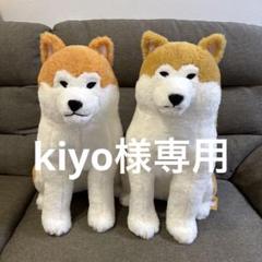 お値下❗️ほっこり秋田犬 はち兵衛 ぽかまる【2体セット