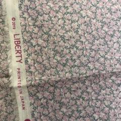 LIBERTY リバティ　ヌザード