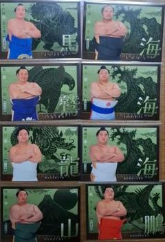 大相撲2024　カード8枚セット