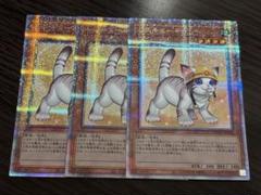 遊戯王 レスキューキャット 絵違い　25thシークレット　3枚