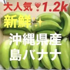 0711②大人気❗️新鮮✨沖縄県産島バナナ✨箱別1.2キロ分✅のサムネイル
