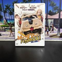 セル版　帰ってきたMr.ダマー バカMAX!('14米) DVD