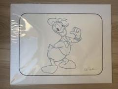 ドナルドダック　手描きスケッチ　ディズニーアーティストサイン入り　カリフォルニア