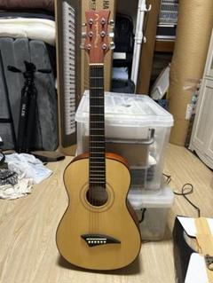 【オッチー】DEANマイケル・アモット モデル 廉価版 ハードケース付 オッチー様専用】DEANマイケル・アモット モデル 廉価版 ハード