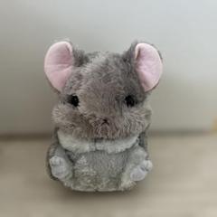 新品　ころはむコロンチラくんといっしょＢＩＧ　チラくん　ぬいぐるみ　ビッグ 大きめ チンチラぬいぐるみ ころはむコロン チラくんといっしょ