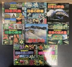 山渓カラー名鑑 8冊セット まとめ売り レアセット レア 貴重 希少 列島 野鳥