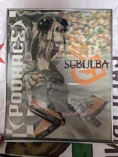 スターウォーズ　セブルバ 高品質　ポスター　フレーム付き　希少　イギリス製