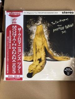 2025年最新】クロマニヨンズ レコードの人気アイテム - メルカリ