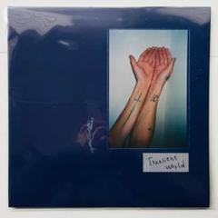 Transient world 下津光史 レコード　踊ってばかりの国 LP Amazon.co.jp: Transient World 下津光史 踊ってばかりの国 LP