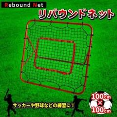 バウンドネット ポータブル リバウンドネット 100×100cm 倒れ[mmn2
