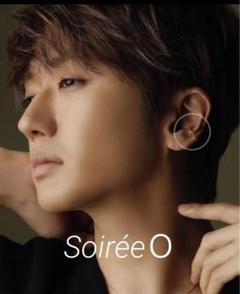 SoireeO メタリックスイングピアス SoireeO メタリックスイングピアス