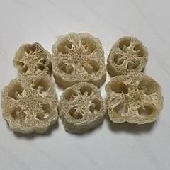 ヘチマのたわし