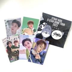straykids バンチャン ポラ風トレカ Stray Kids SKZOO バンチャン VICTORY ポラロイド トレカの通販
