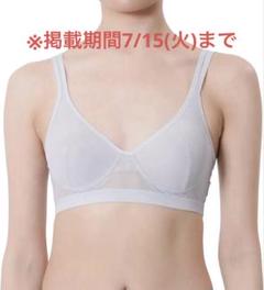 【原価ぶっ壊し割引】アスレチックメッシュブラ 福助fukuske メッシュブラ グレー L - メルカリ
