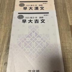 河合塾 早大コース 現代文/古文/漢文テキスト通年セット 2024 計10冊 高橋佳典 055M0D 河合塾 早大コース 現代文/古文/漢文テキスト通年セット 2024 計