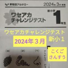 2025年最新】早稲田アカデミー スーパーキッズの人気アイテム