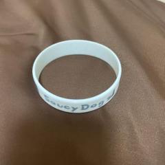 Saucy Dog アクリルキーホルダー 缶バッジ ラバーバンド Saucy Dog アクリルキーホルダー 缶バッジ ラバーバンド