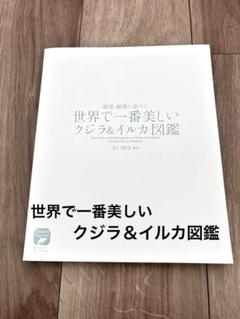 絶景 秘境に息づく 世界で一番美しいクジラ＆イルカ図鑑