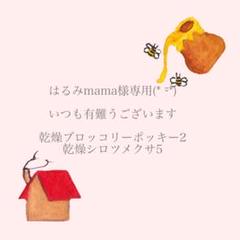 はるみママ様専用。+゜(*´∀︎`*)。+゜