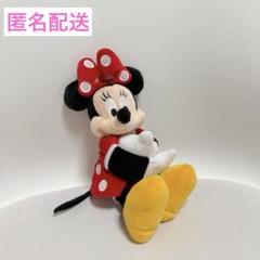 ディズニー　抱きつきぬいぐるみ　ミニーマウス　スナッグル　スナッパーズ