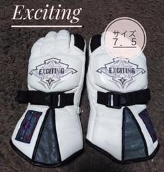 〓 EXCITING スキーグローブ サイズ7.5 (M size) 〓