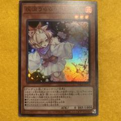 【美品】 灰流うらら スーパー