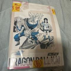 ドラゴンボール改　魔人ブウ編　1-20 全20巻　全巻セット　DVD
