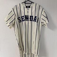 仙台大学 野球部 公式戦用 ユニフォーム 大学野球 背番号19 仙台六大学野球 仙台大学 野球部 公式戦用 ユニフォーム 大学野球 背番号19 仙台