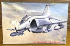 ハセガワ F-4G ファントムⅡ ワイルドウィーゼル 1/48 PT9 m43648683527_1.jpg?1712025232