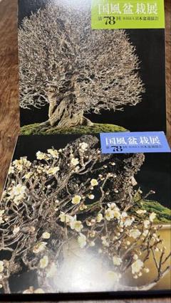 国風盆栽展 第49回〜第74回(抜けあり) 24冊セット 国風盆栽展 第49回〜第74回(抜けあり) 24冊セット