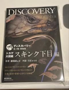 スキンク下目　大図鑑 DISCOVERY