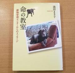 命の教室　動物管理センターからのメッセージ　　池田まき子著/岩崎書店のサムネイル