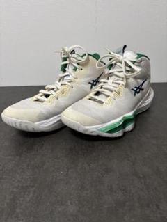 アシックス　ノヴァサージ2 / asics nove surge2