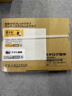 Amazon.co.jp: 2024年 社台サラブレッドクラブ サンデー