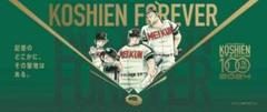 甲子園　100周年　タオル　ドカベンのサムネイル