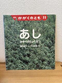 あし みずべのしょくぶつ　月刊 かがくのとも