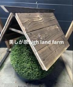 杉玉　約20㎝‼️縁起物　お客様ご注文品♪ 杉玉 中玉 （約40cm） | 楠玉屋