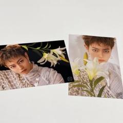 龍宮城 零零 生写真 フォトセット バラ売り 龍宮城 生写真 S 零零 - メルカリ