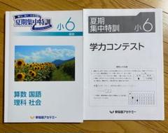 夏期集中特訓　国立開成必勝用　5科 夏期集中特訓 | 進学塾・学習塾なら早稲田アカデミー