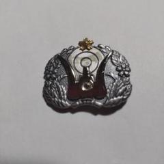 情報戦徽章銀色下士官PX品 陸自職種徽章｜本格派大人のB系【公式通販】