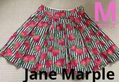 Jane Marple　ジェーンマープル　ストロベリー刺繍カラー半袖ブラウス　苺 Jane Marple ジェーンマープル ストロベリー刺繍カラー半袖