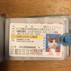 なめねこ 免許証の中古 未使用品を探そう メルカリ なめねこ 免許証の中古 未使用品を探そう メルカリ